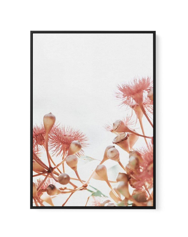 Eucalyptus in Bloom IV | PT | Framed Canvas-CANVAS-You can shop wall art online with Olive et Oriel for everything from abstract art to fun kids wall art. Our beautiful modern art prints and canvas art are available from large canvas prints to wall art paintings and our proudly Australian artwork collection offers only the highest quality framed large wall art and canvas art Australia - You can buy fashion photography prints or Hampton print posters and paintings on canvas from Olive et Oriel an