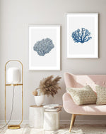 Fan Coral II Art Print-PRINT-Olive et Oriel-Olive et Oriel-Buy-Australian-Art-Prints-Online-with-Olive-et-Oriel-Your-Artwork-Specialists-Austrailia-Decorate-With-Coastal-Photo-Wall-Art-Prints-From-Our-Beach-House-Artwork-Collection-Fine-Poster-and-Framed-Artwork