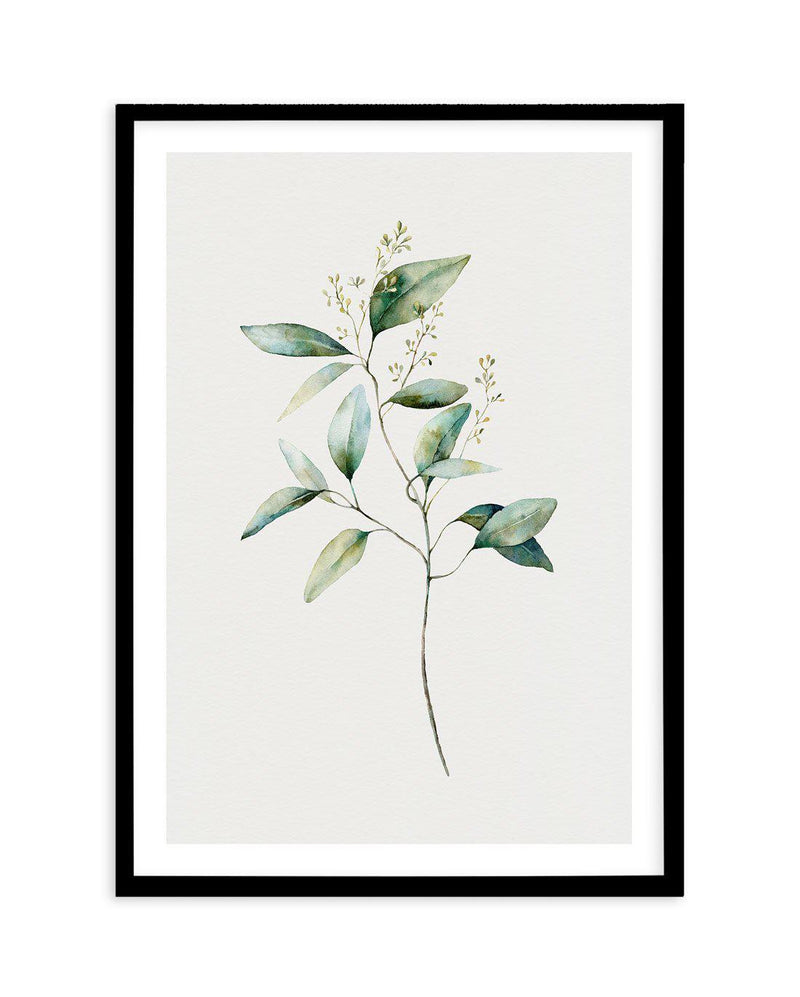 Foliage I Art Print-PRINT-Olive et Oriel-Olive et Oriel-A5 | 5.8" x 8.3" | 14.8 x 21cm-Black-With White Border-Buy-Australian-Art-Prints-Online-with-Olive-et-Oriel-Your-Artwork-Specialists-Austrailia-Decorate-With-Coastal-Photo-Wall-Art-Prints-From-Our-Beach-House-Artwork-Collection-Fine-Poster-and-Framed-Artwork