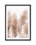 Golden Pampas I Art Print-PRINT-Olive et Oriel-Olive et Oriel-A5 | 5.8" x 8.3" | 14.8 x 21cm-Black-With White Border-Buy-Australian-Art-Prints-Online-with-Olive-et-Oriel-Your-Artwork-Specialists-Austrailia-Decorate-With-Coastal-Photo-Wall-Art-Prints-From-Our-Beach-House-Artwork-Collection-Fine-Poster-and-Framed-Artwork