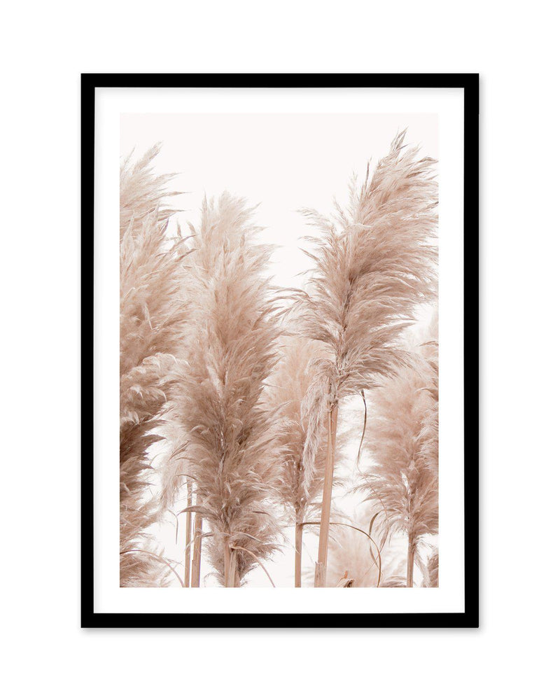 Golden Pampas I Art Print-PRINT-Olive et Oriel-Olive et Oriel-A5 | 5.8" x 8.3" | 14.8 x 21cm-Black-With White Border-Buy-Australian-Art-Prints-Online-with-Olive-et-Oriel-Your-Artwork-Specialists-Austrailia-Decorate-With-Coastal-Photo-Wall-Art-Prints-From-Our-Beach-House-Artwork-Collection-Fine-Poster-and-Framed-Artwork