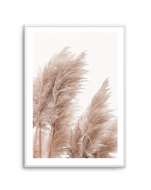 Golden Pampas II Art Print-PRINT-Olive et Oriel-Olive et Oriel-A5 | 5.8" x 8.3" | 14.8 x 21cm-Unframed Art Print-With White Border-Buy-Australian-Art-Prints-Online-with-Olive-et-Oriel-Your-Artwork-Specialists-Austrailia-Decorate-With-Coastal-Photo-Wall-Art-Prints-From-Our-Beach-House-Artwork-Collection-Fine-Poster-and-Framed-Artwork