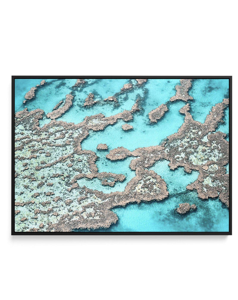 Great Barrier Reef I | Framed Canvas-CANVAS-You can shop wall art online with Olive et Oriel for everything from abstract art to fun kids wall art. Our beautiful modern art prints and canvas art are available from large canvas prints to wall art paintings and our proudly Australian artwork collection offers only the highest quality framed large wall art and canvas art Australia - You can buy fashion photography prints or Hampton print posters and paintings on canvas from Olive et Oriel and have 