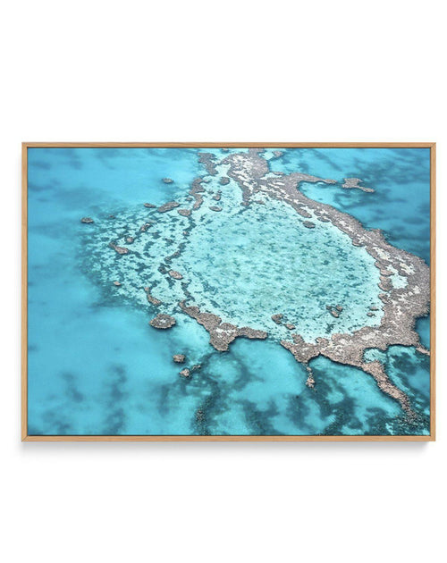 Great Barrier Reef V | Framed Canvas-CANVAS-You can shop wall art online with Olive et Oriel for everything from abstract art to fun kids wall art. Our beautiful modern art prints and canvas art are available from large canvas prints to wall art paintings and our proudly Australian artwork collection offers only the highest quality framed large wall art and canvas art Australia - You can buy fashion photography prints or Hampton print posters and paintings on canvas from Olive et Oriel and have 