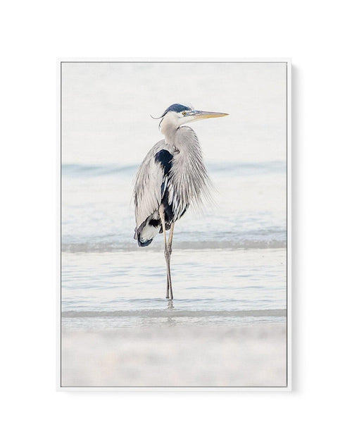Heron No I | Framed Canvas-CANVAS-You can shop wall art online with Olive et Oriel for everything from abstract art to fun kids wall art. Our beautiful modern art prints and canvas art are available from large canvas prints to wall art paintings and our proudly Australian artwork collection offers only the highest quality framed large wall art and canvas art Australia - You can buy fashion photography prints or Hampton print posters and paintings on canvas from Olive et Oriel and have them deliv