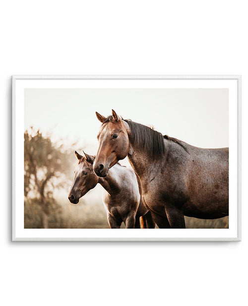 Horses in the Mist Art Print-PRINT-Olive et Oriel-Olive et Oriel-A5 | 5.8" x 8.3" | 14.8 x 21cm-Unframed Art Print-With White Border-Buy-Australian-Art-Prints-Online-with-Olive-et-Oriel-Your-Artwork-Specialists-Austrailia-Decorate-With-Coastal-Photo-Wall-Art-Prints-From-Our-Beach-House-Artwork-Collection-Fine-Poster-and-Framed-Artwork