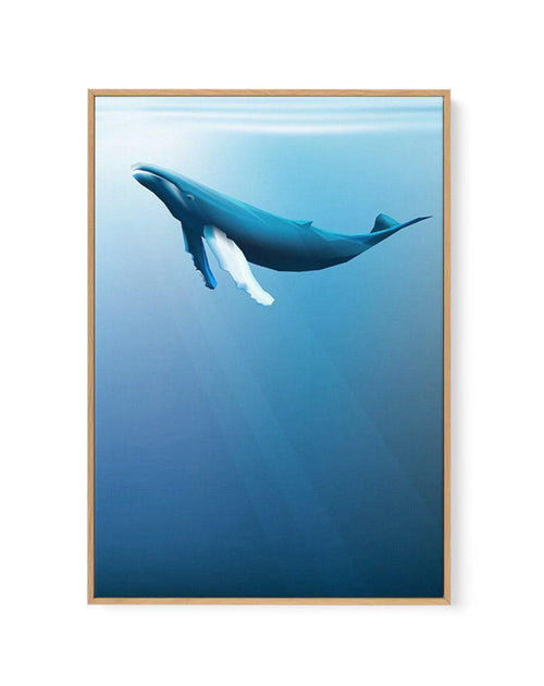Humpback | Graphic Whales Collection | Framed Canvas-CANVAS-You can shop wall art online with Olive et Oriel for everything from abstract art to fun kids wall art. Our beautiful modern art prints and canvas art are available from large canvas prints to wall art paintings and our proudly Australian artwork collection offers only the highest quality framed large wall art and canvas art Australia - You can buy fashion photography prints or Hampton print posters and paintings on canvas from Olive et