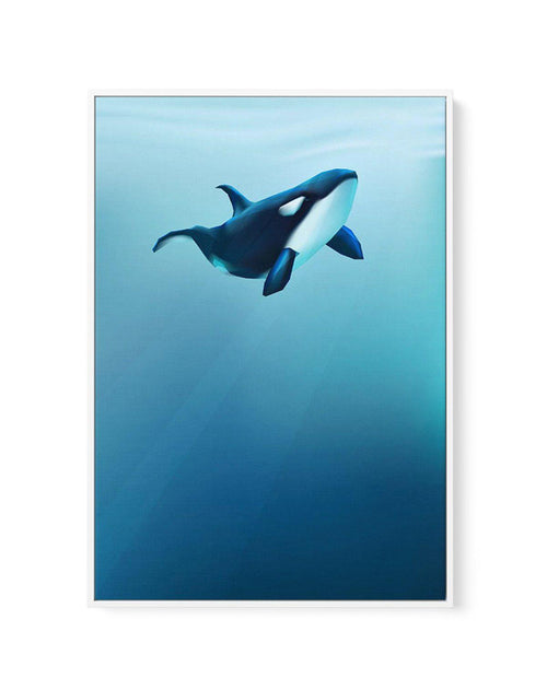 Killer | Graphic Whales Collection | Framed Canvas-CANVAS-You can shop wall art online with Olive et Oriel for everything from abstract art to fun kids wall art. Our beautiful modern art prints and canvas art are available from large canvas prints to wall art paintings and our proudly Australian artwork collection offers only the highest quality framed large wall art and canvas art Australia - You can buy fashion photography prints or Hampton print posters and paintings on canvas from Olive et O