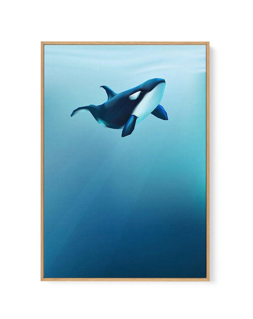 Killer | Graphic Whales Collection | Framed Canvas-CANVAS-You can shop wall art online with Olive et Oriel for everything from abstract art to fun kids wall art. Our beautiful modern art prints and canvas art are available from large canvas prints to wall art paintings and our proudly Australian artwork collection offers only the highest quality framed large wall art and canvas art Australia - You can buy fashion photography prints or Hampton print posters and paintings on canvas from Olive et O