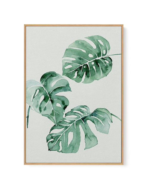 Monstera Abstract Watercolour | Framed Canvas-CANVAS-You can shop wall art online with Olive et Oriel for everything from abstract art to fun kids wall art. Our beautiful modern art prints and canvas art are available from large canvas prints to wall art paintings and our proudly Australian artwork collection offers only the highest quality framed large wall art and canvas art Australia - You can buy fashion photography prints or Hampton print posters and paintings on canvas from Olive et Oriel 