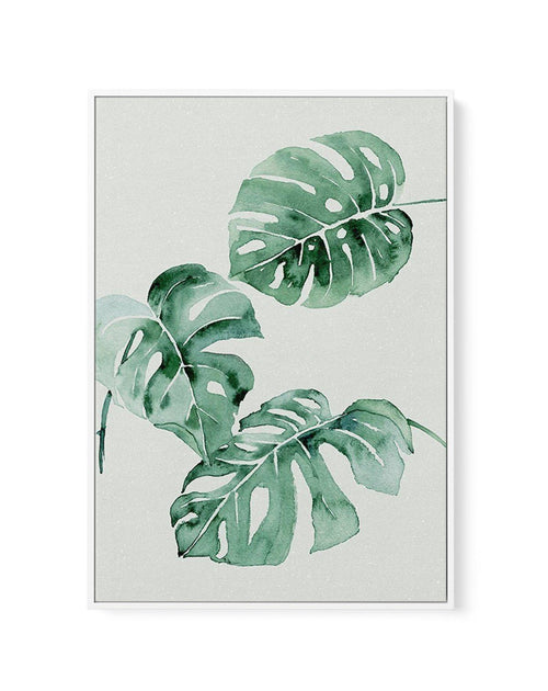 Monstera Abstract Watercolour | Framed Canvas-CANVAS-You can shop wall art online with Olive et Oriel for everything from abstract art to fun kids wall art. Our beautiful modern art prints and canvas art are available from large canvas prints to wall art paintings and our proudly Australian artwork collection offers only the highest quality framed large wall art and canvas art Australia - You can buy fashion photography prints or Hampton print posters and paintings on canvas from Olive et Oriel 