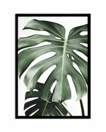 Monstera X Two Art Print-PRINT-Olive et Oriel-Olive et Oriel-A5 | 5.8" x 8.3" | 14.8 x 21cm-Black-With White Border-Buy-Australian-Art-Prints-Online-with-Olive-et-Oriel-Your-Artwork-Specialists-Austrailia-Decorate-With-Coastal-Photo-Wall-Art-Prints-From-Our-Beach-House-Artwork-Collection-Fine-Poster-and-Framed-Artwork