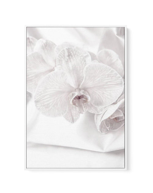 Orchids I | Framed Canvas-CANVAS-You can shop wall art online with Olive et Oriel for everything from abstract art to fun kids wall art. Our beautiful modern art prints and canvas art are available from large canvas prints to wall art paintings and our proudly Australian artwork collection offers only the highest quality framed large wall art and canvas art Australia - You can buy fashion photography prints or Hampton print posters and paintings on canvas from Olive et Oriel and have them delive