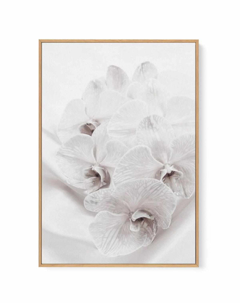 Orchids III | Framed Canvas