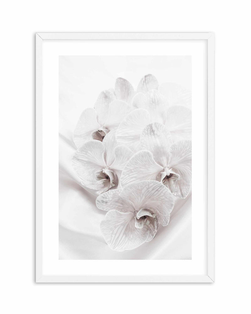 Orchids III Art Print-PRINT-Olive et Oriel-Olive et Oriel-A4 | 8.3" x 11.7" | 21 x 29.7cm-White-With White Border-Buy-Australian-Art-Prints-Online-with-Olive-et-Oriel-Your-Artwork-Specialists-Austrailia-Decorate-With-Coastal-Photo-Wall-Art-Prints-From-Our-Beach-House-Artwork-Collection-Fine-Poster-and-Framed-Artwork