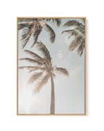 Palm Beach | Framed Canvas-CANVAS-You can shop wall art online with Olive et Oriel for everything from abstract art to fun kids wall art. Our beautiful modern art prints and canvas art are available from large canvas prints to wall art paintings and our proudly Australian artwork collection offers only the highest quality framed large wall art and canvas art Australia - You can buy fashion photography prints or Hampton print posters and paintings on canvas from Olive et Oriel and have them deliv