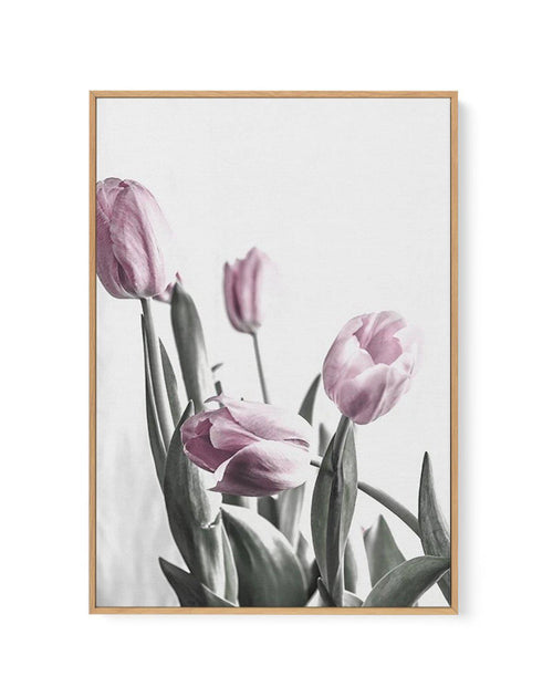 Pink Tulip Illustration III | Framed Canvas-CANVAS-You can shop wall art online with Olive et Oriel for everything from abstract art to fun kids wall art. Our beautiful modern art prints and canvas art are available from large canvas prints to wall art paintings and our proudly Australian artwork collection offers only the highest quality framed large wall art and canvas art Australia - You can buy fashion photography prints or Hampton print posters and paintings on canvas from Olive et Oriel an