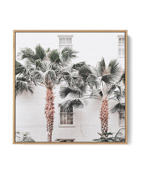 Resort De Palmas SQ | Framed Canvas-CANVAS-You can shop wall art online with Olive et Oriel for everything from abstract art to fun kids wall art. Our beautiful modern art prints and canvas art are available from large canvas prints to wall art paintings and our proudly Australian artwork collection offers only the highest quality framed large wall art and canvas art Australia - You can buy fashion photography prints or Hampton print posters and paintings on canvas from Olive et Oriel and have t