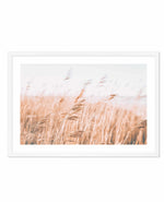 Seagrass In The Wind I | LS Art Print-PRINT-Olive et Oriel-Olive et Oriel-A5 | 5.8" x 8.3" | 14.8 x 21cm-White-With White Border-Buy-Australian-Art-Prints-Online-with-Olive-et-Oriel-Your-Artwork-Specialists-Austrailia-Decorate-With-Coastal-Photo-Wall-Art-Prints-From-Our-Beach-House-Artwork-Collection-Fine-Poster-and-Framed-Artwork