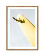 Single Fin Burnt Lemon by Mario Stefanelli Art Print-PRINT-Olive et Oriel-Mario Stefanelli-50x70 cm | 19.6" x 27.5"-Walnut-With White Border-Buy-Australian-Art-Prints-Online-with-Olive-et-Oriel-Your-Artwork-Specialists-Austrailia-Decorate-With-Coastal-Photo-Wall-Art-Prints-From-Our-Beach-House-Artwork-Collection-Fine-Poster-and-Framed-Artwork