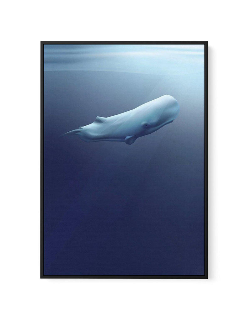 Sperm Whale | Graphic Whales Collection | Framed Canvas-CANVAS-You can shop wall art online with Olive et Oriel for everything from abstract art to fun kids wall art. Our beautiful modern art prints and canvas art are available from large canvas prints to wall art paintings and our proudly Australian artwork collection offers only the highest quality framed large wall art and canvas art Australia - You can buy fashion photography prints or Hampton print posters and paintings on canvas from Olive