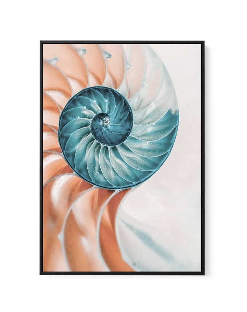 Summer Nautilus | Framed Canvas-CANVAS-You can shop wall art online with Olive et Oriel for everything from abstract art to fun kids wall art. Our beautiful modern art prints and canvas art are available from large canvas prints to wall art paintings and our proudly Australian artwork collection offers only the highest quality framed large wall art and canvas art Australia - You can buy fashion photography prints or Hampton print posters and paintings on canvas from Olive et Oriel and have them 