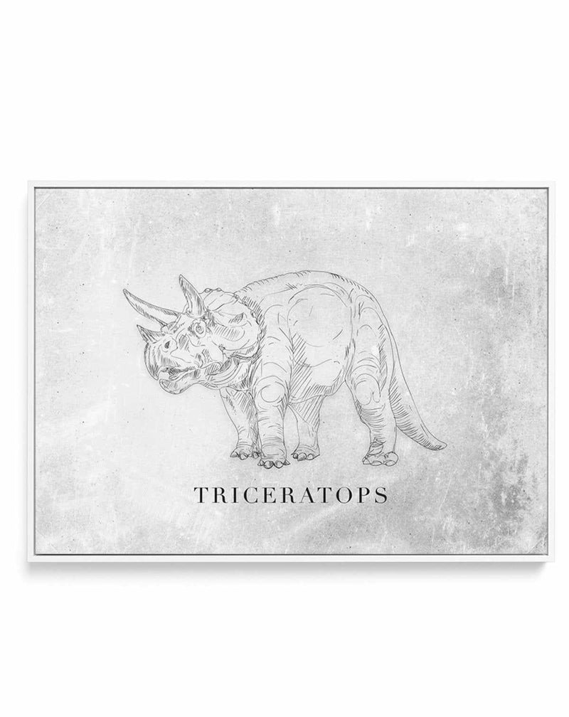 Triceratops LS | Dinosaur Collection | Framed Canvas-CANVAS-You can shop wall art online with Olive et Oriel for everything from abstract art to fun kids wall art. Our beautiful modern art prints and canvas art are available from large canvas prints to wall art paintings and our proudly Australian artwork collection offers only the highest quality framed large wall art and canvas art Australia - You can buy fashion photography prints or Hampton print posters and paintings on canvas from Olive et
