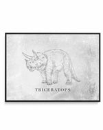 Triceratops LS | Dinosaur Collection | Framed Canvas-CANVAS-You can shop wall art online with Olive et Oriel for everything from abstract art to fun kids wall art. Our beautiful modern art prints and canvas art are available from large canvas prints to wall art paintings and our proudly Australian artwork collection offers only the highest quality framed large wall art and canvas art Australia - You can buy fashion photography prints or Hampton print posters and paintings on canvas from Olive et