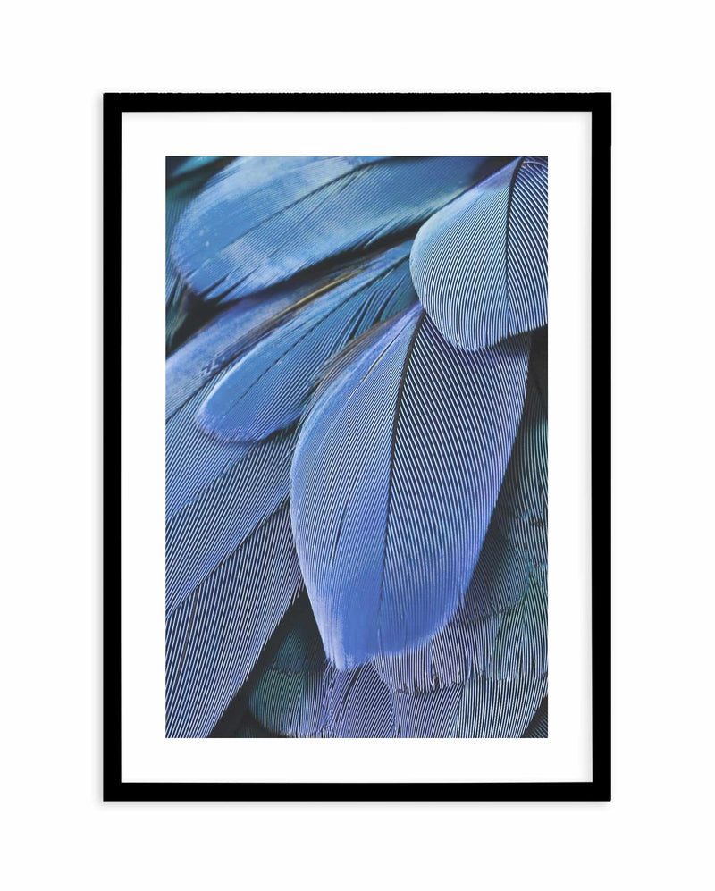 Ultra Violet Feather I Art Print-PRINT-Olive et Oriel-Olive et Oriel-A4 | 8.3" x 11.7" | 21 x 29.7cm-Black-With White Border-Buy-Australian-Art-Prints-Online-with-Olive-et-Oriel-Your-Artwork-Specialists-Austrailia-Decorate-With-Coastal-Photo-Wall-Art-Prints-From-Our-Beach-House-Artwork-Collection-Fine-Poster-and-Framed-Artwork