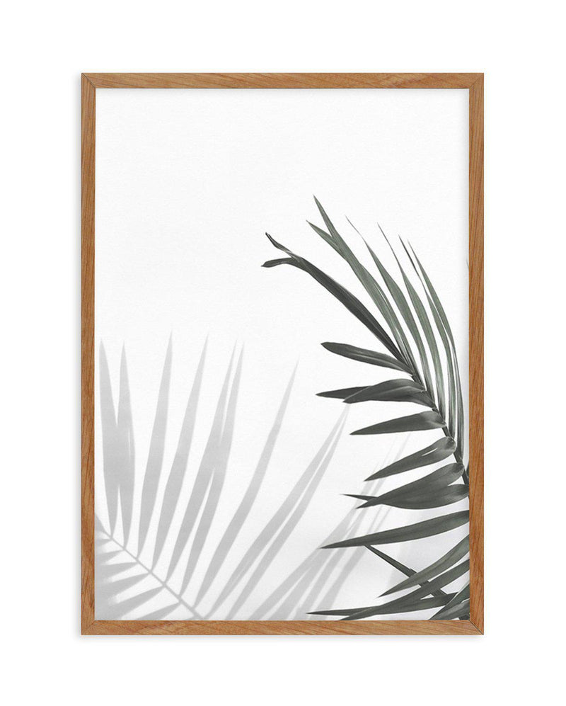 Under The Palm Art Print-PRINT-Olive et Oriel-Olive et Oriel-50x70 cm | 19.6" x 27.5"-Walnut-With White Border-Buy-Australian-Art-Prints-Online-with-Olive-et-Oriel-Your-Artwork-Specialists-Austrailia-Decorate-With-Coastal-Photo-Wall-Art-Prints-From-Our-Beach-House-Artwork-Collection-Fine-Poster-and-Framed-Artwork