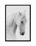 White Horse II Art Print-PRINT-Olive et Oriel-Olive et Oriel-A5 | 5.8" x 8.3" | 14.8 x 21cm-Black-With White Border-Buy-Australian-Art-Prints-Online-with-Olive-et-Oriel-Your-Artwork-Specialists-Austrailia-Decorate-With-Coastal-Photo-Wall-Art-Prints-From-Our-Beach-House-Artwork-Collection-Fine-Poster-and-Framed-Artwork
