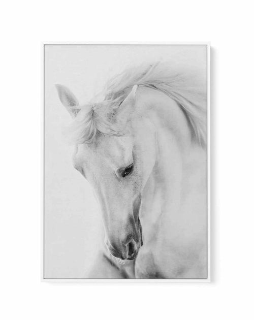 White Horse III | Framed Canvas-CANVAS-You can shop wall art online with Olive et Oriel for everything from abstract art to fun kids wall art. Our beautiful modern art prints and canvas art are available from large canvas prints to wall art paintings and our proudly Australian artwork collection offers only the highest quality framed large wall art and canvas art Australia - You can buy fashion photography prints or Hampton print posters and paintings on canvas from Olive et Oriel and have them 