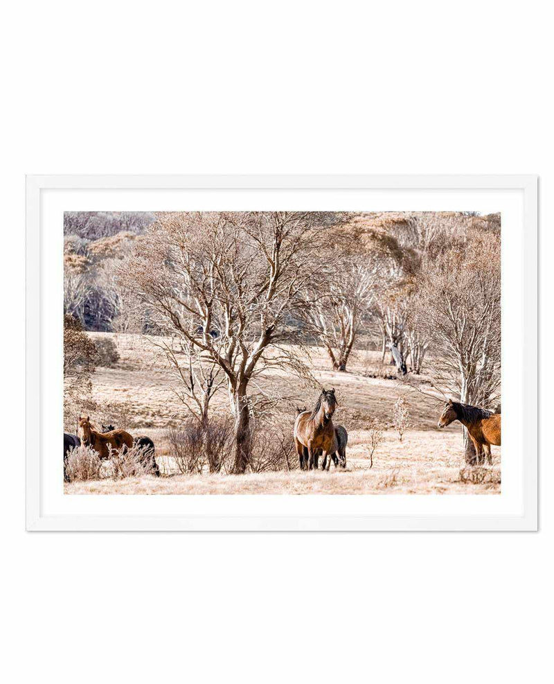 Wild Brumbies | Protector Art Print-PRINT-Olive et Oriel-Olive et Oriel-A5 | 5.8" x 8.3" | 14.8 x 21cm-White-With White Border-Buy-Australian-Art-Prints-Online-with-Olive-et-Oriel-Your-Artwork-Specialists-Austrailia-Decorate-With-Coastal-Photo-Wall-Art-Prints-From-Our-Beach-House-Artwork-Collection-Fine-Poster-and-Framed-Artwork