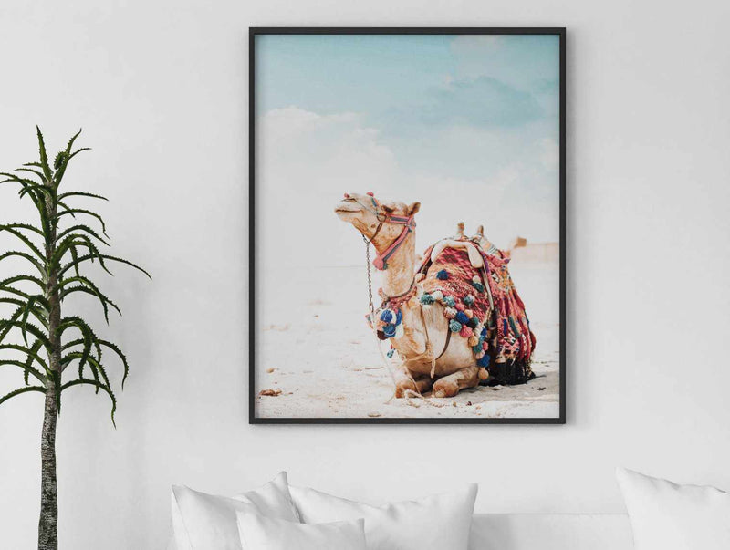 Shop Animal wall art prints with Olive et Oriel - Buy Animal artwork online and transform your home with lion art, llama art, koala art, horse art prints. Our modern contemporary NSW art gallery offers professional framing services.