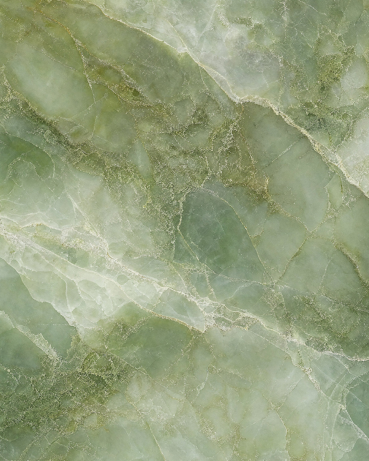 Eucalyptus Stone Marble Mural Wallpaper