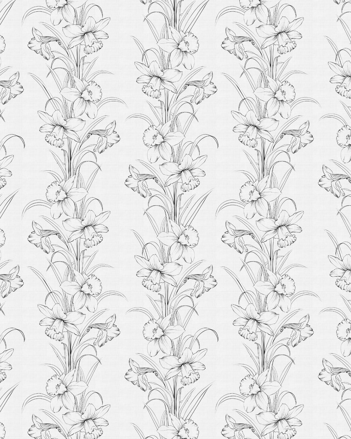 Daffodil Stripe Black & White Wallpaper