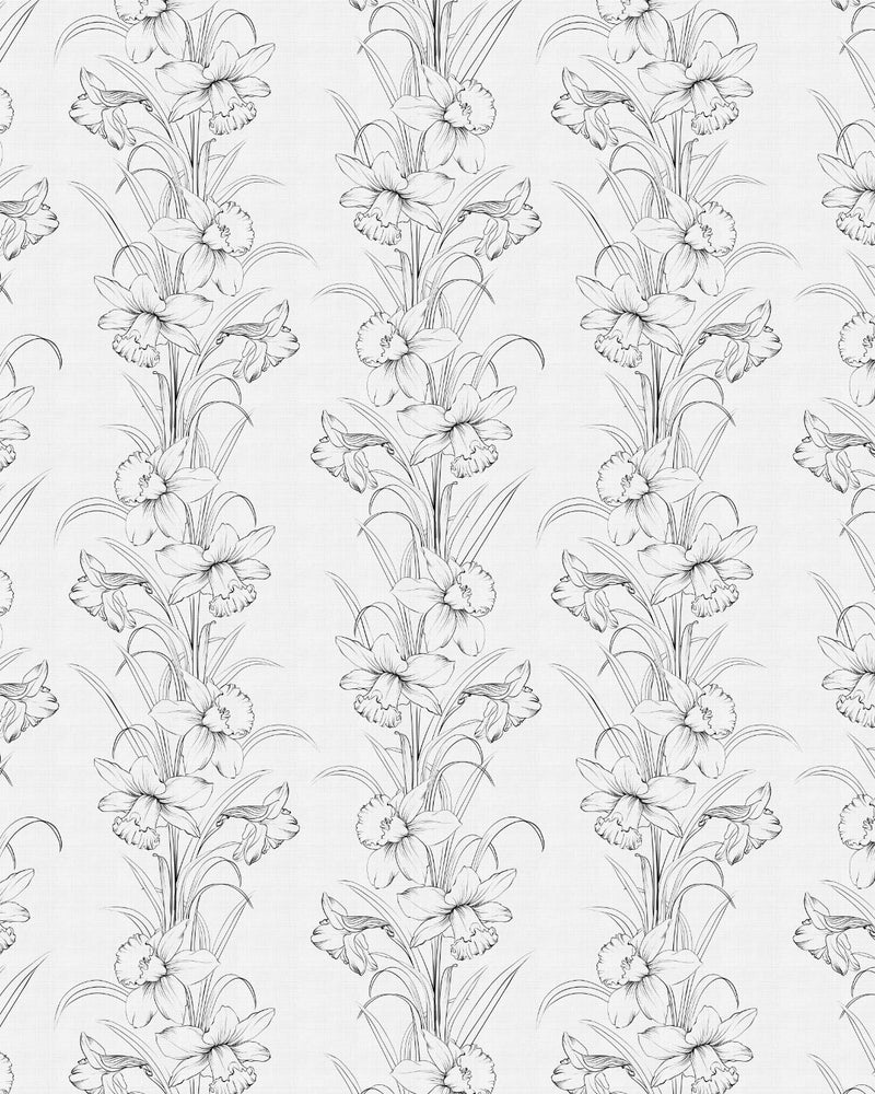Daffodil Stripe Black & White Wallpaper