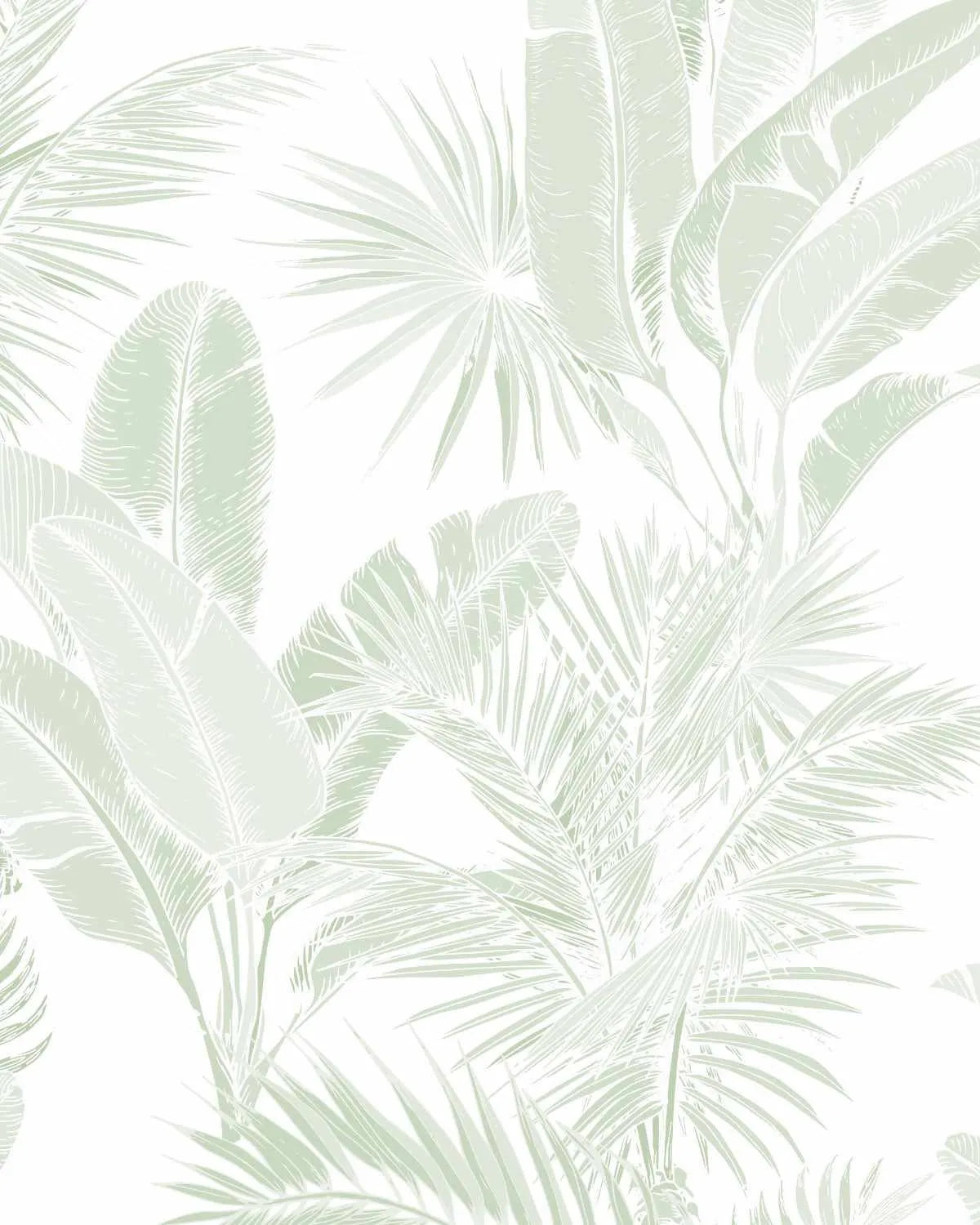Luxe Tropical in Sage Green Wallpaper from Olive et Oriel where you can shop wallpaper and artworks online