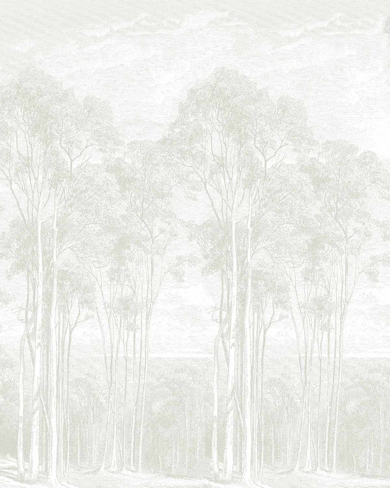 SALE Eucalyptus Trees Soft Sage Green Wallpaper