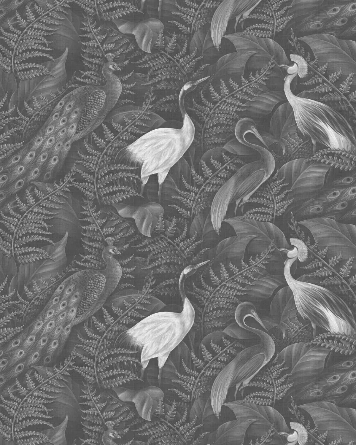 Birds Of The Tropics Black & White Wallpaper from Olive et Oriel where you can shop wallpaper and artworks online