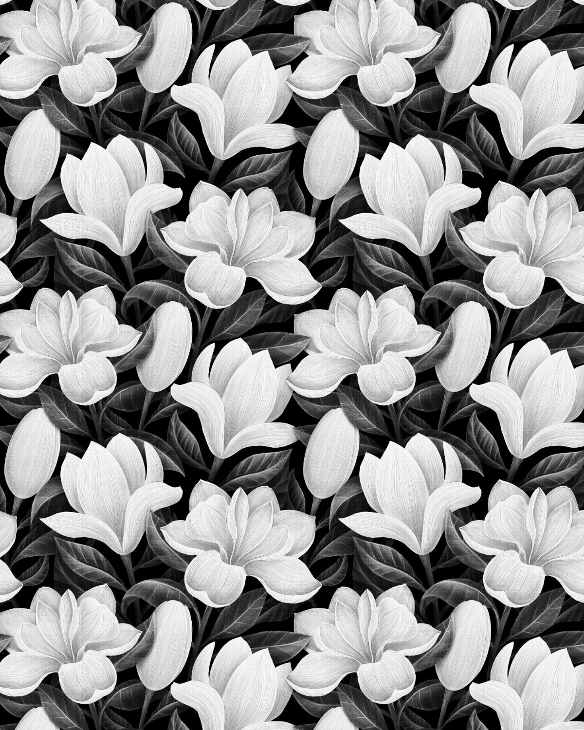 Magnolia in Bloom Black and White Wallpaper