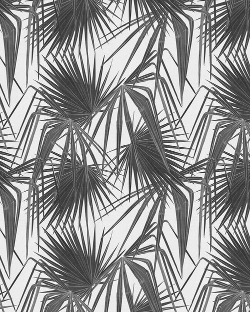 Paradiso Palm Black & White Wallpaper