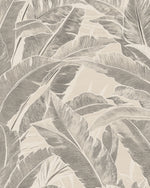 Maui in Charcoal on Cream Commercial Vinyl Wallcovering