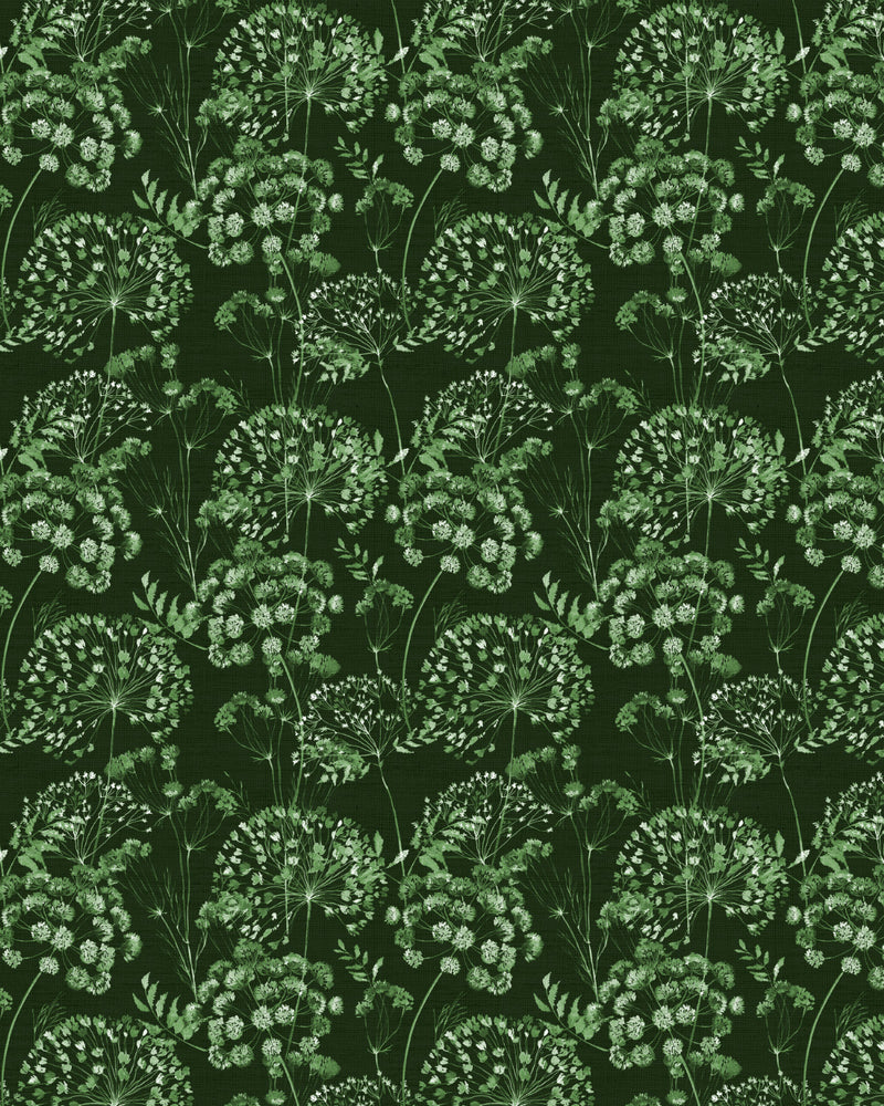 Dandelions in Bloom in Dark green Wallpaper from Olive et Oriel where you can shop wallpaper and artworks online