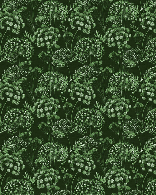 Dandelions in Bloom in Dark green Wallpaper