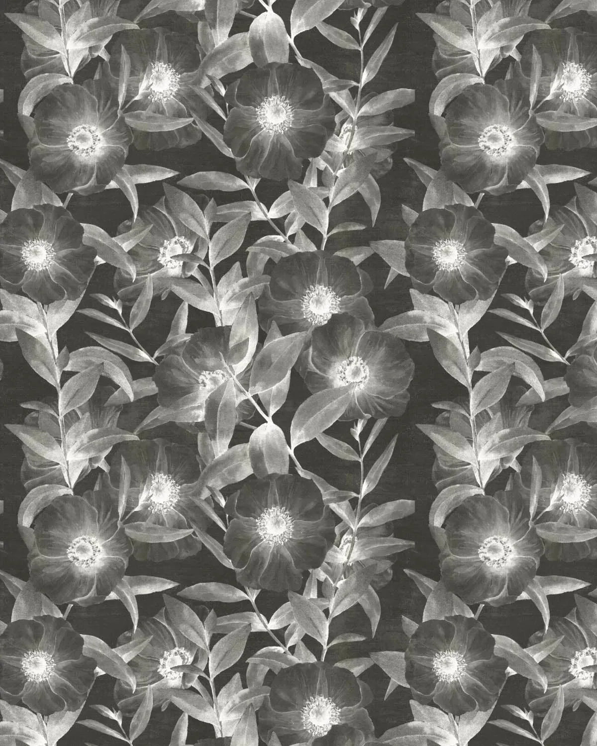 Moody Florals Black & White Wallpaper from Olive et Oriel where you can shop wallpaper and artworks online