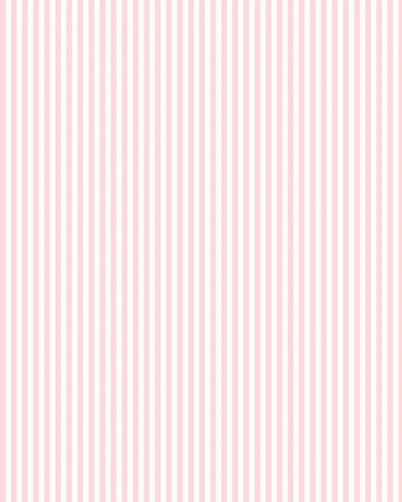 Petite Stripe Pink Wallpaper from Olive et Oriel where you can shop wallpaper and artworks online