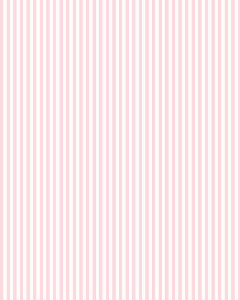Petite Stripe Pink Wallpaper