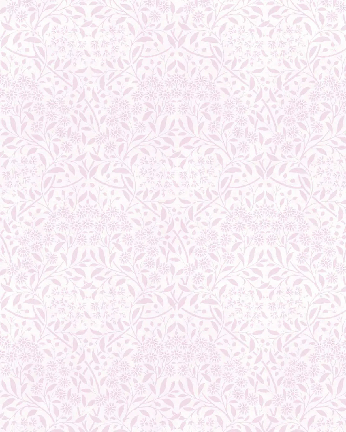 Delicate Daisies Pink Wallpaper from Olive et Oriel where you can shop wallpaper and artworks online