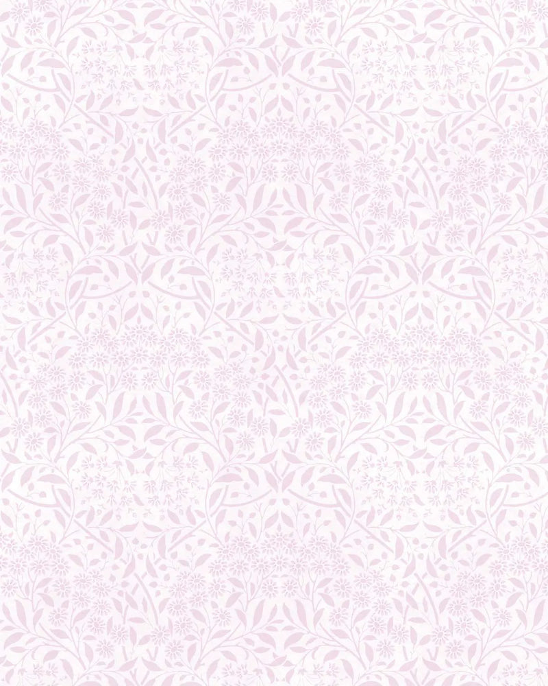 Delicate Daisies Pink Wallpaper from Olive et Oriel where you can shop wallpaper and artworks online